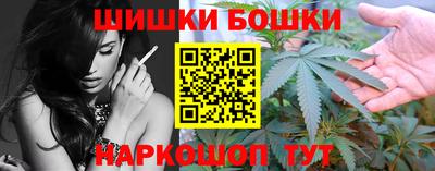 крисы Кунгур